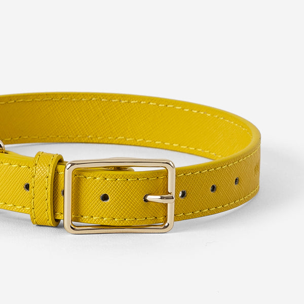 Bright yellow dog clearance collar