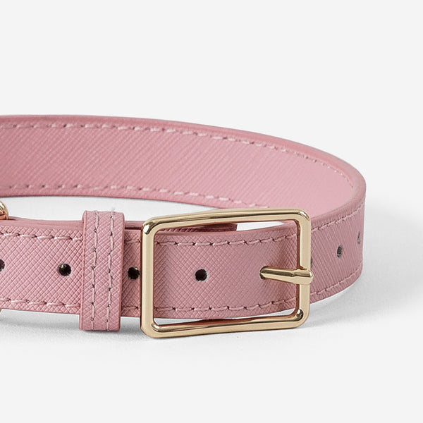 Light pink dog store collar